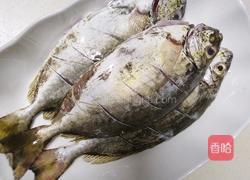 红烧泥猛鱼的做法图解1