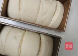 绵吐司(2个450吐司)的做法图解15