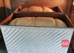 绵吐司(2个450吐司)的做法图解16