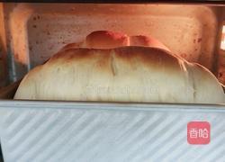 绵吐司(2个450吐司)的做法图解17