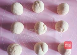 玉桂狗豆沙包的做法图解2