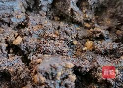 酸枣软糖的做法图解7