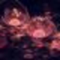 永遠(yuǎn)快樂(lè)62