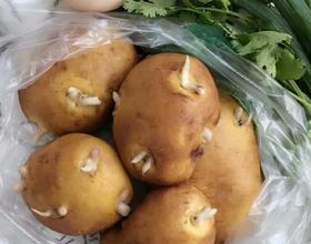 看看我的今日早餐！大家看出有什么特別的嗎？仔細(xì)看，仔細(xì)看