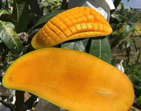 你們吃不起，我們出不去