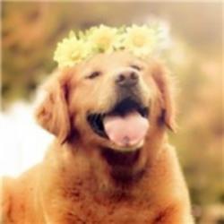 android用户1134720