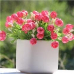 樊育平蜂蜜雪鄉(xiāng)特產(chǎn)