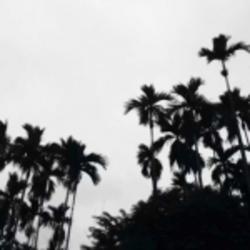 東江丶小可愛(ài)7