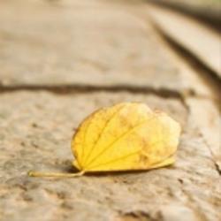 android用戶1837182