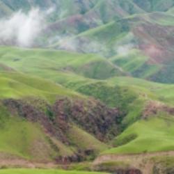 android用戶1675386