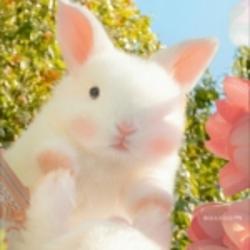 android用戶2877860