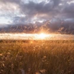 android用戶1752573