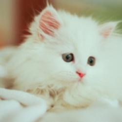 android用戶1965365