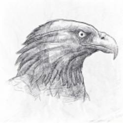 微博用戶(hù)690612