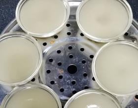 簡簡單單缽仔糕