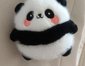 熊猫🐼宝贝[图]