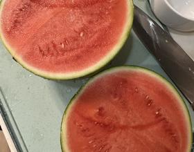 今年的第二个西瓜🍉[图]