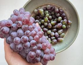 打卡[图]