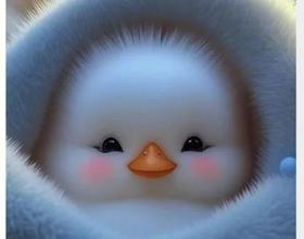 睡不着了[图]