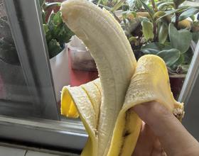 香蕉🍌[图]