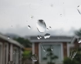 下雨天喝酒天[图]