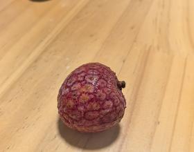 这是啥品种的荔枝 友友们有认识的不？[图]