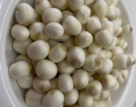 新鲜莲子米！😋😋[图]