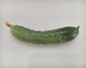 吃🥒[图]