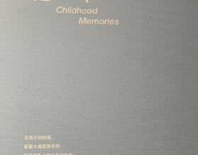 深圳美术馆观展21[图]