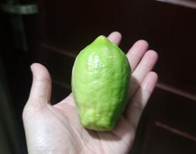 打卡[图]