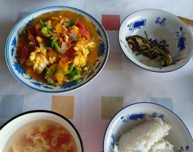 饺上焖的白米饭，用半个红色和一个黄色的西红柿半个青椒，三个鸡蛋炒了一盘菜哟 🤭[图]