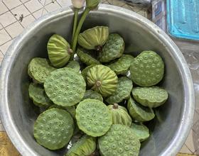 掐点虾仁[图]