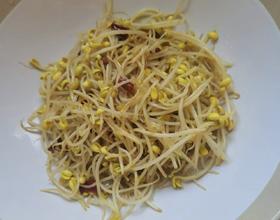 打卡 豆芽[图]