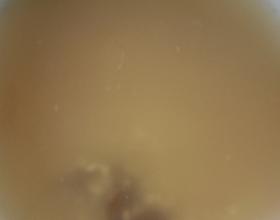 粥加葡萄干[图]