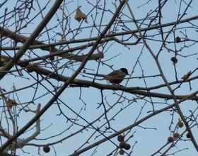 小年快乐💐[图]