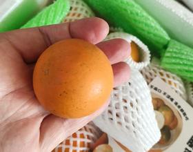 儿媳妇孝敬的[图]