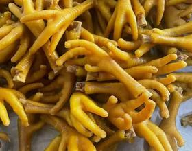 鸡爪[图]