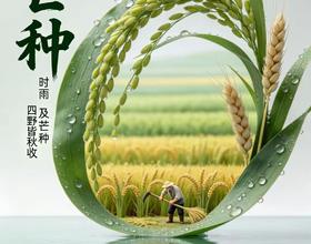 【二十四节气-芒种】[图]