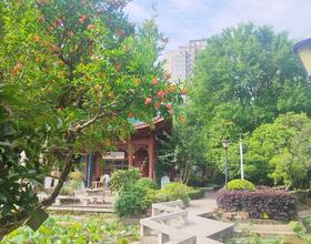 石榴结果了吧☀️[图]
