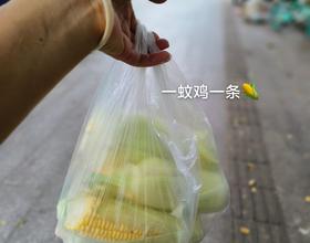 打卡[图]