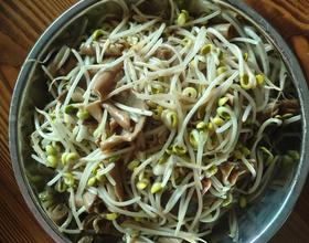 鸭珍炒豆芽[图]