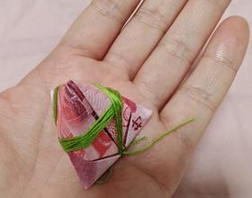 昨天收到的小粽子[图]