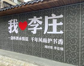 李庄 长江边上的一座古镇 抗战时期曾是一些名校的临时校舍 古老的建筑 如画的风景[图]