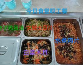 【食堂职工餐】[图]