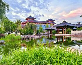 下午时光，溜弯🏃[图]
