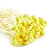 黄豆芽[图]