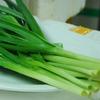 青蒜的做法大全[图]