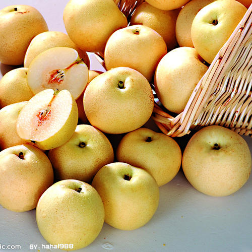梨子[图]