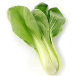 小油菜[图]