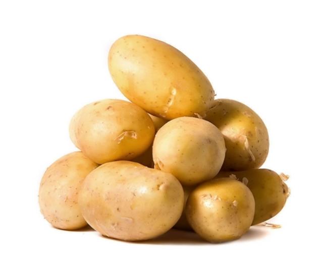 固阳土豆